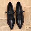 Fashion 2025 New Spring Style Pointed Toe Square Heel Versatile Style Single Shoes Women's Shoes Medium Professional Buckle High Heels