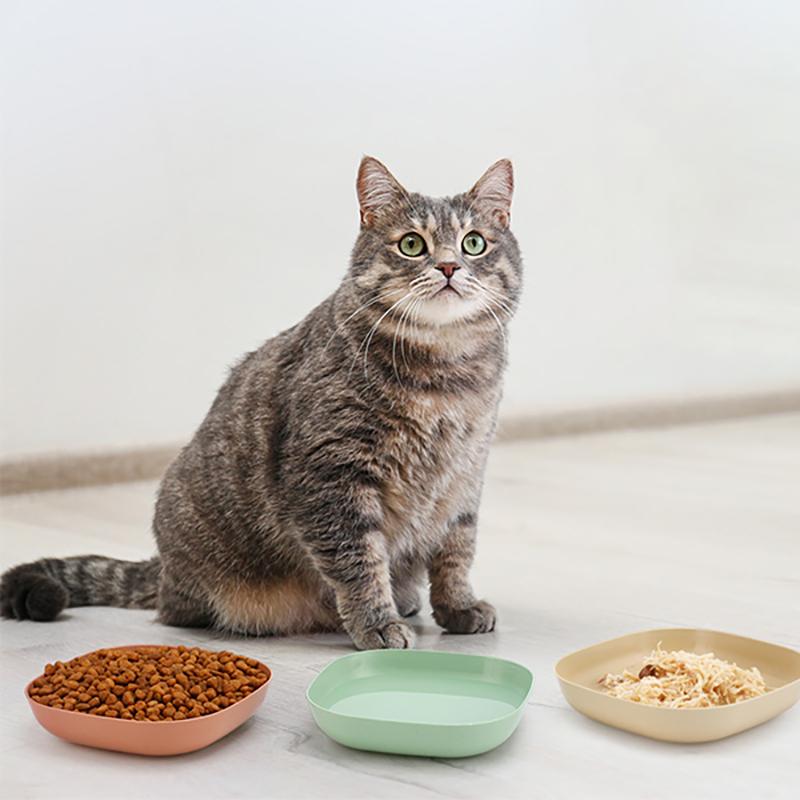 5pcs Non-Slip Plastic Cat Bowls Set Shallow Pet Food Water Dishes Suitable for Kittens Short Leg Cat Ferrets Stray Cats Dog Bowl