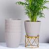 Set of 6 Self Watering Pots for Home, Decor & Garden | Flower Pots, Planters for Indoor Plants | Plastic Pots for Living Room