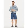 Lee Asher Shorts