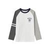 Boys' American-Style Long-Sleeve Cotton T-Shirts with Stripes, Contrast Sleeves - Ideal for Spring and Autumn.