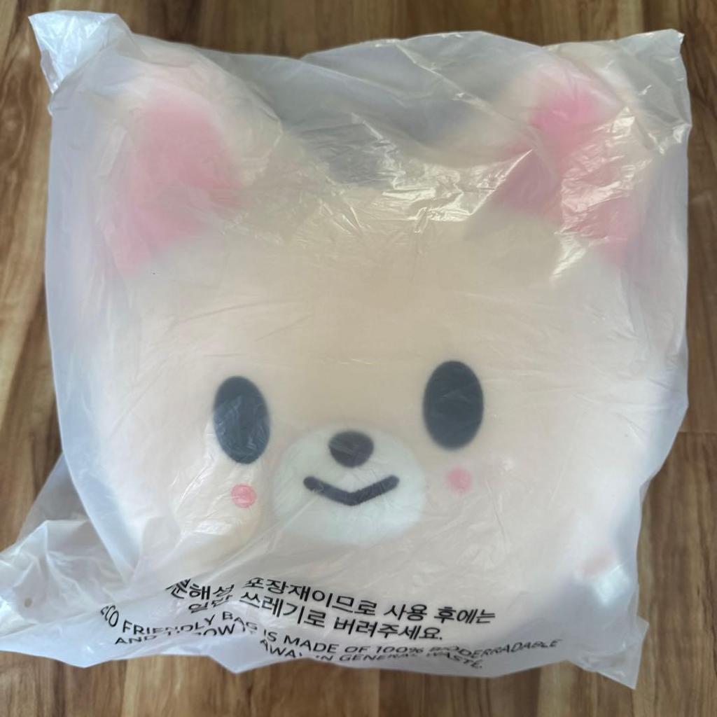 [USED] Straykids I.N Foxshiny Cushion Penmi Face