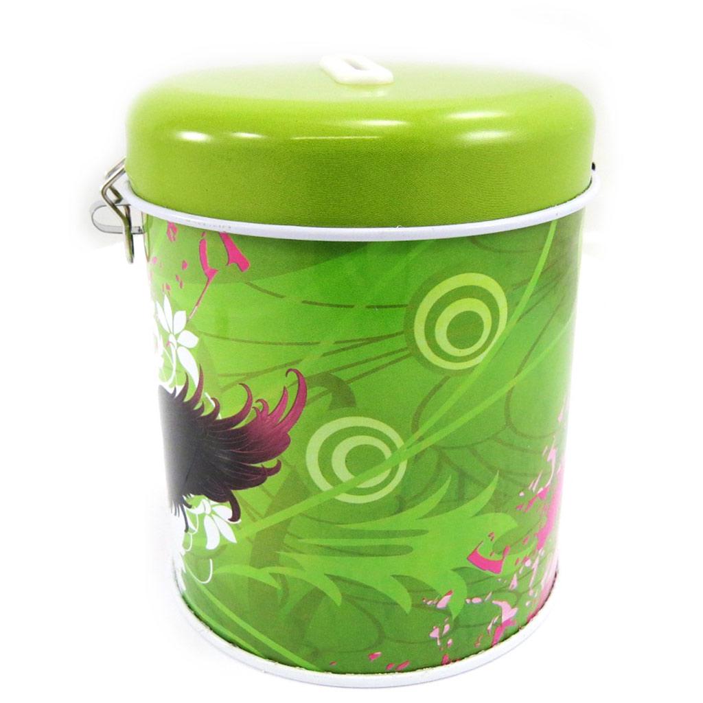 Les Trésors De Lily [L6877] - Green 'Fairy Dreams' Metal Piggy Bank
