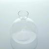 Transparent Avocado Seed Culture Kit - Glass Vase for Plant Starters, Perfect for Gardening Enthusiasts