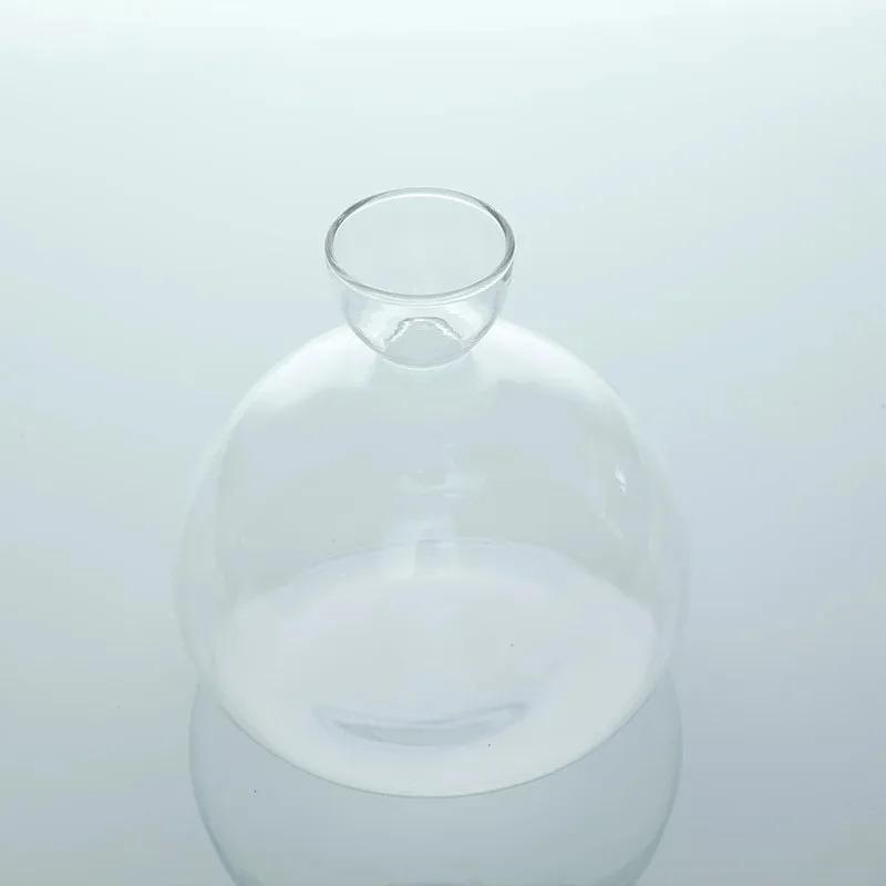 Transparent Avocado Seed Culture Kit - Glass Vase for Plant Starters, Perfect for Gardening Enthusiasts