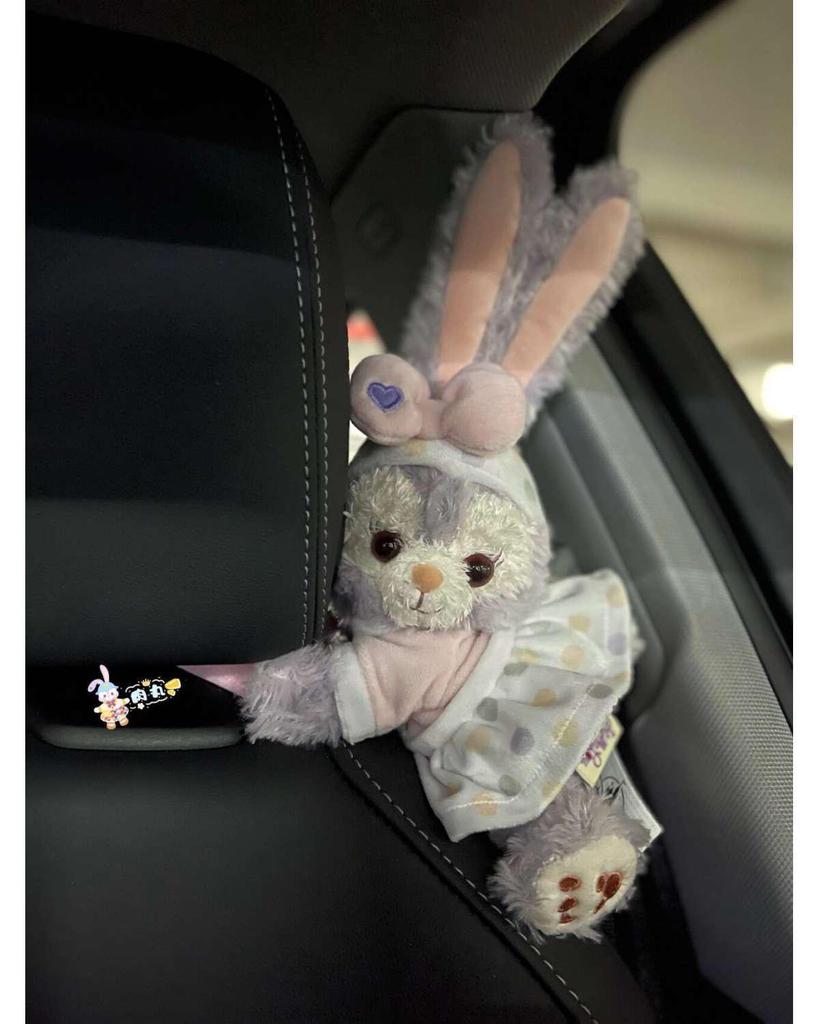 Charming Car Ornaments: Plush Passenger Seat Toys & Decorations for Women, Perfect for Tesla.