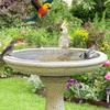 Copper Bird Bath Copper bird bath purifier tray copper bird bath tray Safe Bird Bath Purification Disk for outdoor bird baths