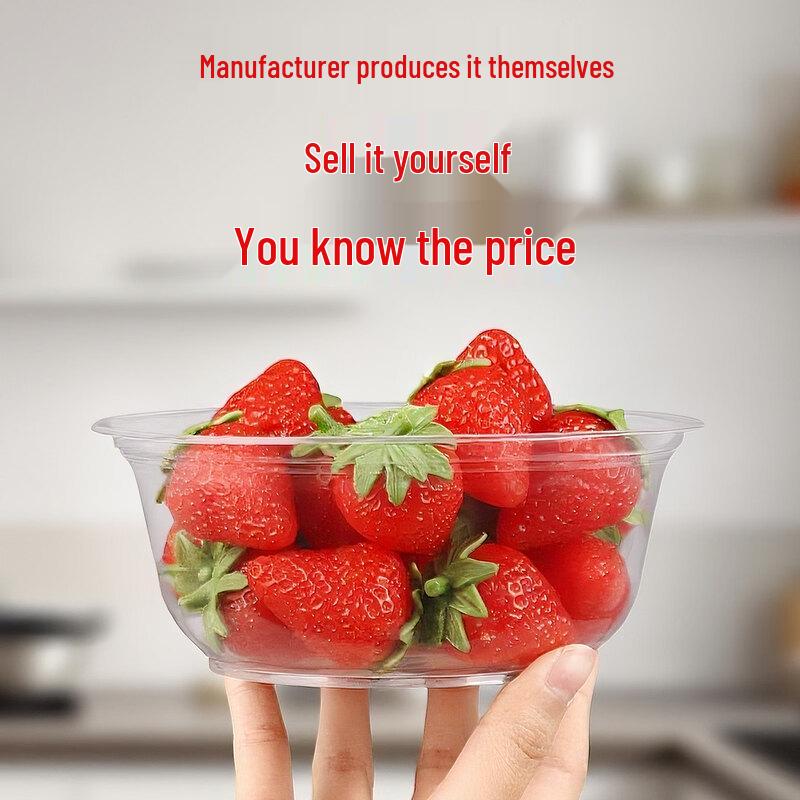 ZISIZ Disposable Food-Grade Plastic Bowl