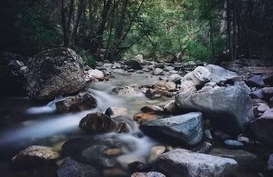 Ultra-hard, Lightweight, Compact, Telescopic Fishing Rod for Mountain Streams, Bait Fishing, Managed Fishing Areas, Rivers, and Banks (5.4m)