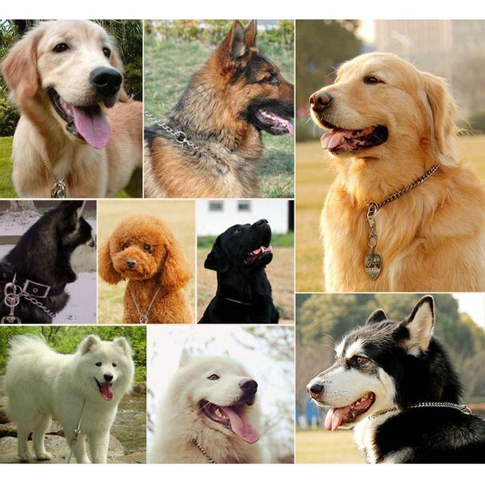 Snake Chains Dog Chain Silver Metal Collar Stainless Steel Training for Pet Dog Choker Chain