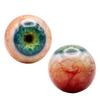 6cm Realistic Eyeball Resin Ornament with Base Creepy Eye Ball Decoration
