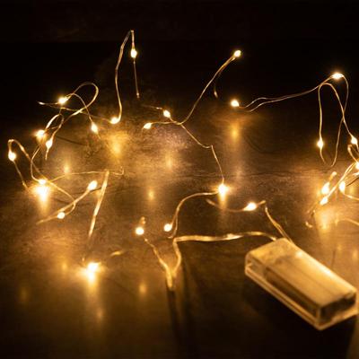 No. 5 LED Copper Wire String Lights, 2-Cell & 3-Cell Battery Box, Outdoor Christmas, Festival, Wedding, Leather Wire Decor