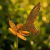 gold Hummingbird Yard Decor Iron Garden Ornament Stake Decorative Garden Props  Patio Display