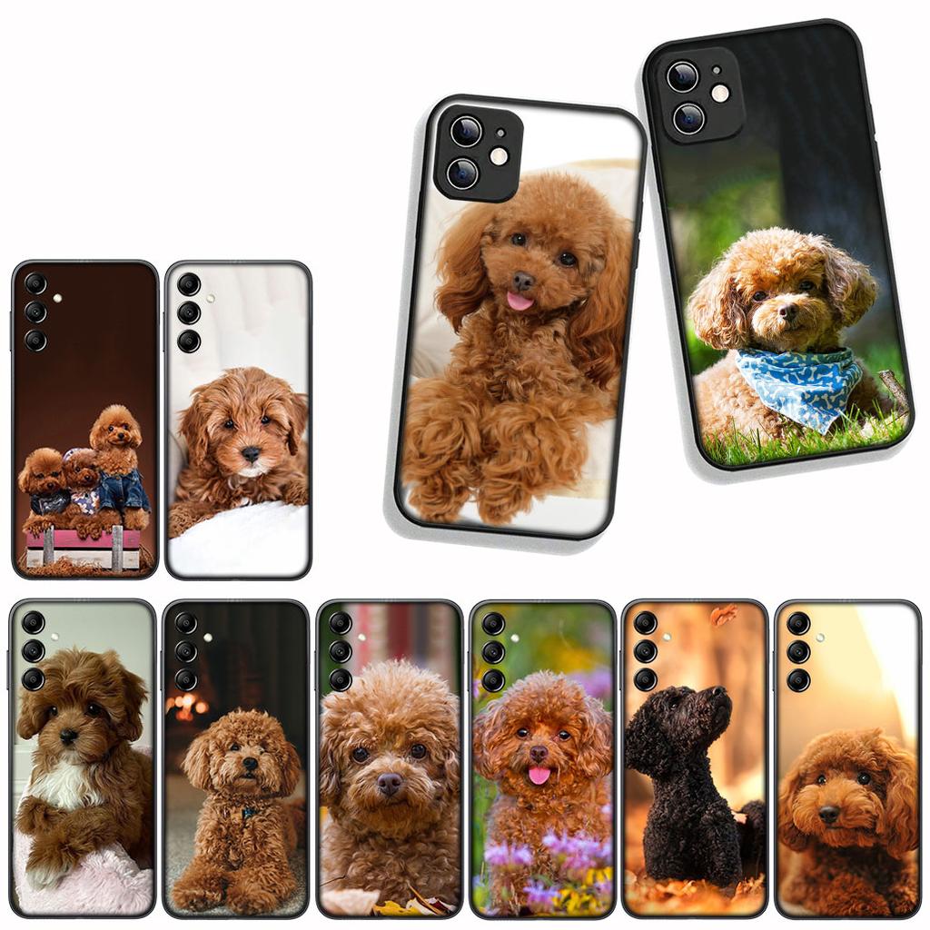 Funda Coque Cover for Samsung Galaxy A55 A56 A25 A36 A54 S8 S9 S21 S20 FE A53 A13 A12 A14 A33 A70 A71 A51 A21S Case Poodle Dog