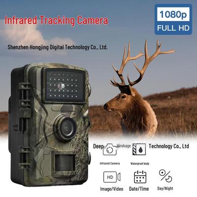 Caméra de Chasse HD Étanche à Vision Nocturne pour l'Observation et la Surveillance de la Faune Sauvage