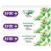 Saky Green Bamboo Crystal Salt Toothpaste