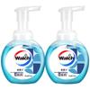 Gentle Foaming Antibacterial Hand Soap