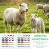 18 Pièces Colliers de Chèvre avec Clochettes Ensemble de Colliers en Nylon Réglables Cheval Mouton Vache Pâturage Clochettes en Fer Anti-Perte Accessoire pour Animaux de Ferme