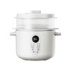 220V 2500ML Electric Electric Slow Stewer Household Automatic Water Separated Stewing Soup Health Preserving Pot Slow Cooker