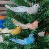 Artificial Bird Birds Measure Convenient Packaging