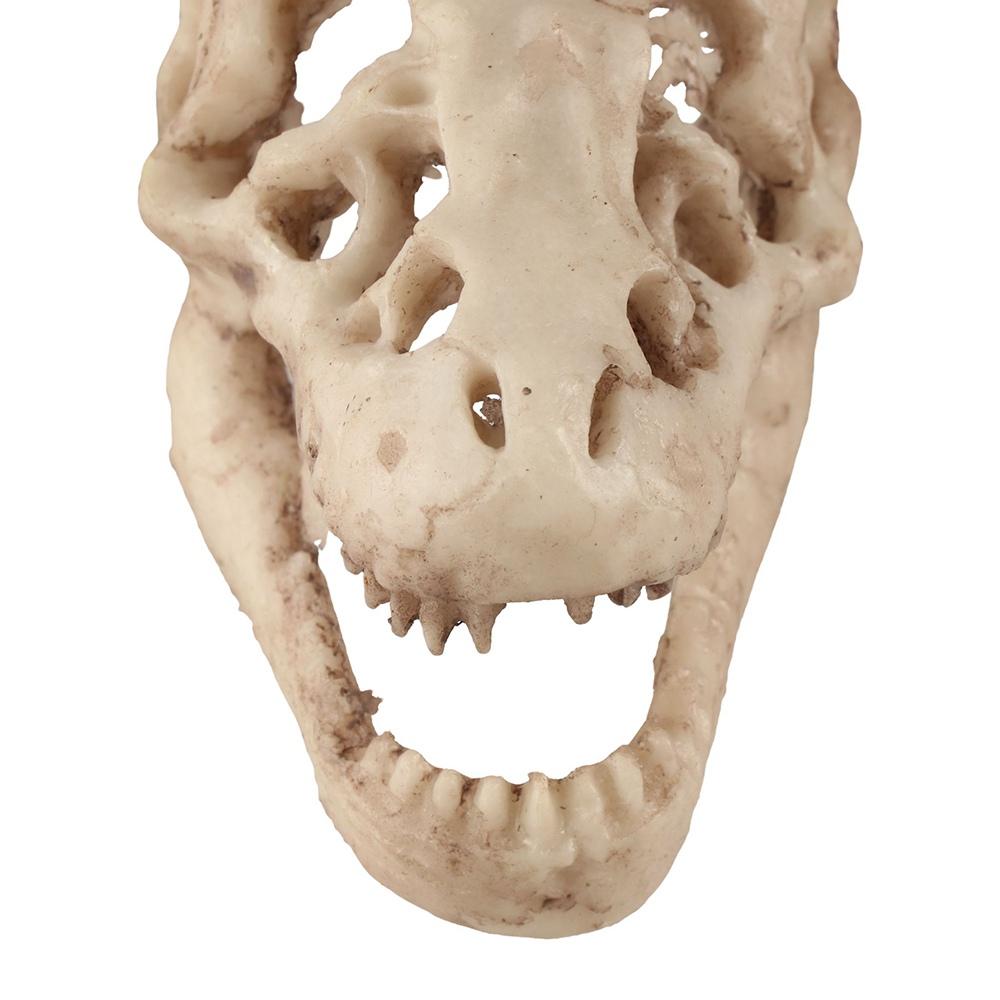 Simulation Fish House Cave Resin Escape House Dinosaur Skull Terrarium Decoration