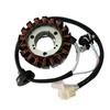 Linhai Motorcycle Aurora LH125T-C BWS Magneto Coil Stator