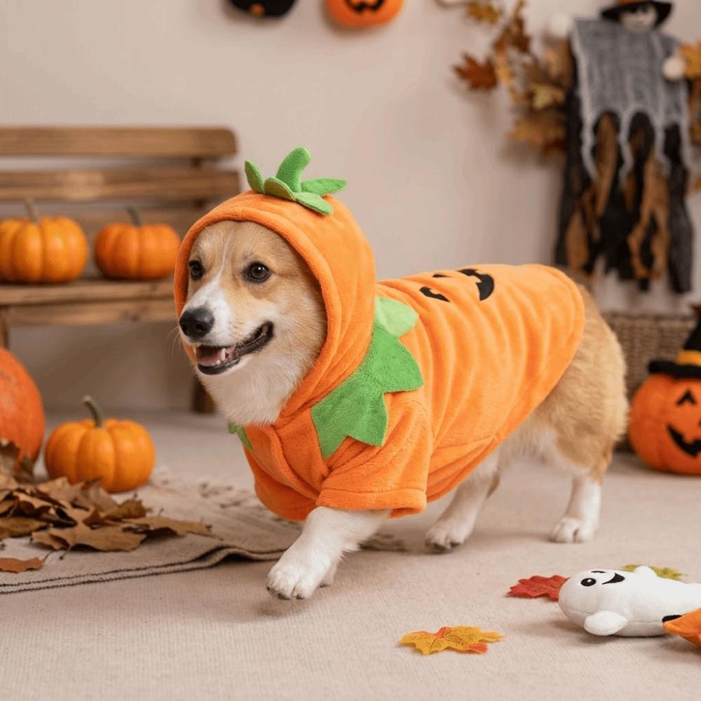 Warm Fleece Puppy Warm Outfits Fleece Hoodie Pumpkin Dog Costume Halloween Pet Clothes  Party