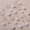 30Pcs/Bag of Camellia Manicure Jewelry Resin Drill Nail Decoration Symphony Three-Dimensional Flower Accessories