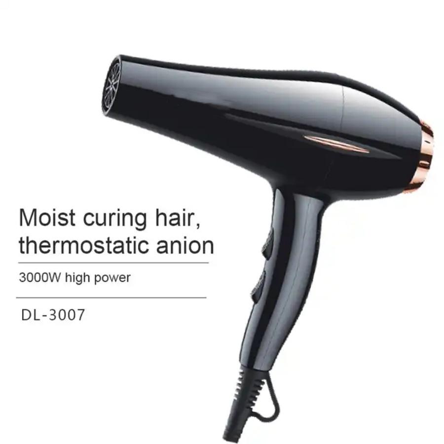 1700w Negative Ion Hair Dryer with Motor, Quick Drying, High Speed, Low Noise, Temperature Control, Hair Care, Quick Drying