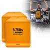 VEVOR Curved Weight Vest Plates, 2.6 Kg Pairs, Premium Steel Tactical Weighted Plates for Vest, Ergonomic Design, for Strength Endurance Training