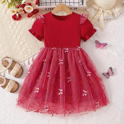 Robe d'été de princesse en tulle pour filles 2025: Mode Enfant Tendance