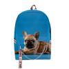 Classic Novelty Lovely French Bulldog School Bags Unisex 3D Print Oxford Waterproof Notebook multifunction Travel Backpacks