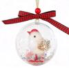 Nature's Birds Ball Ornament 3D Animal Clear Plastic Ball Decoration Christmas Tree Memorial Gift for Bird Lovers