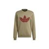 Originals Sweatshirts Men's Strata Olive Green Crew Neck Moderate Regular IS5272