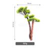 Sushi bamboo chops Barbecue dish decoration Platter ornaments Seafood posture flowers and plants Japanese sashimi decorations-A