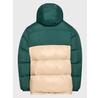 Adidas Regen Down Jacket