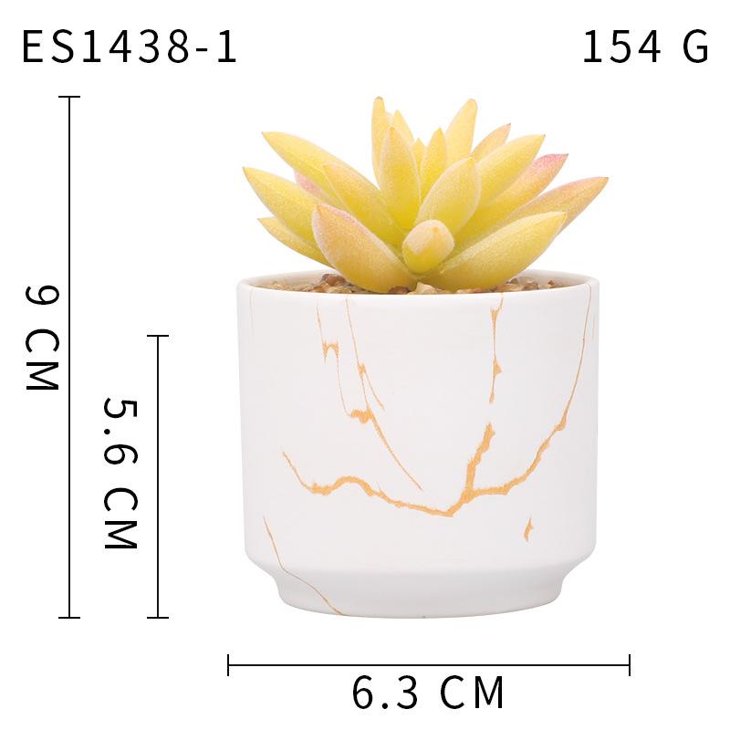 Gold Pattern White Background Ceramic Cup, Simulated Succulent Plant Potted Plant, Mini Potted Plant Office Home Supermarket Decorative Ornament