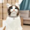 Neue Katze Hundehalsband Dreireihiges Elastisches Strass Haustierhalsbänder Liebesdekoration Halskette Welpe Kätzchen Ornament Haustierbedarf