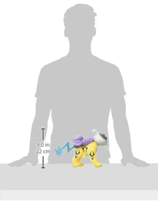 Sanei Boeki Pokemon ALL STAR COLLECTION Raikou W11 x D19 x H22cm Plush Toy Pokemon PP62 (S)