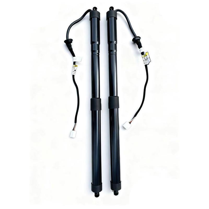 Premium Tailgate Struts for Toyota RAV-4 (68920-42060, 68910-42060)
