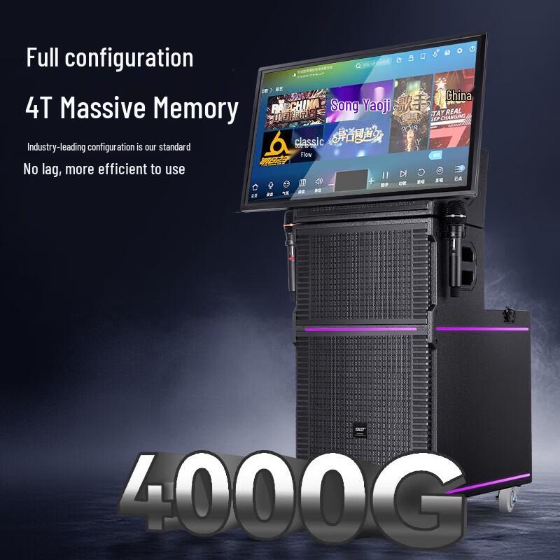 SAST All-in-One KTV Karaoke Audio System