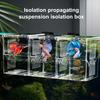 Aquarium-Zuchtbox, Isolierung, Fischzucht, Brutteiler, transparentes Multi-Grid-Design, Fischzucht-Isolationsbox für Garnelen, Clownfische