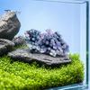Smooth Polished Rocks Natural Grape Agate Crystal Cluster, Mineral Gemstone, Stone Landscaping for Aquarium Terrarium Decor, Unique Gift Collectors