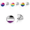 Elegant Rainbow Flag Theme Metal Stud Earrings Simple And Stylish Design 2022