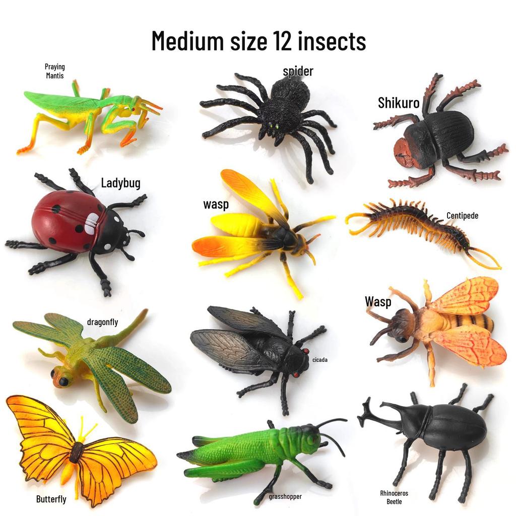 Children's Cognitive Teaching Toys: Insect Models - Butterfly, Ladybug, Rhinoceros Beetle, Bee, Grasshopper