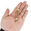 20Pcs Fishing Accessory with Glowing Bean and Spring For Shrimp Carp Fish Baits Glowing Fishing Feeder Lures Feeder