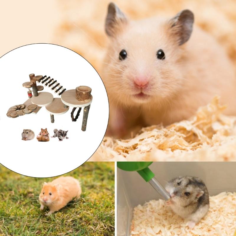 Durable Wood Hamster Toy Designed to Withstand Chewers and Provide Long Lasting Fun Any Hamster Habitat Entertainment