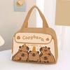 Cartoon Lunch Bag Insulated Bag Large Capacity Zipper Closure Waterproof Easy to Clean Lunch Tote Bag with Handle