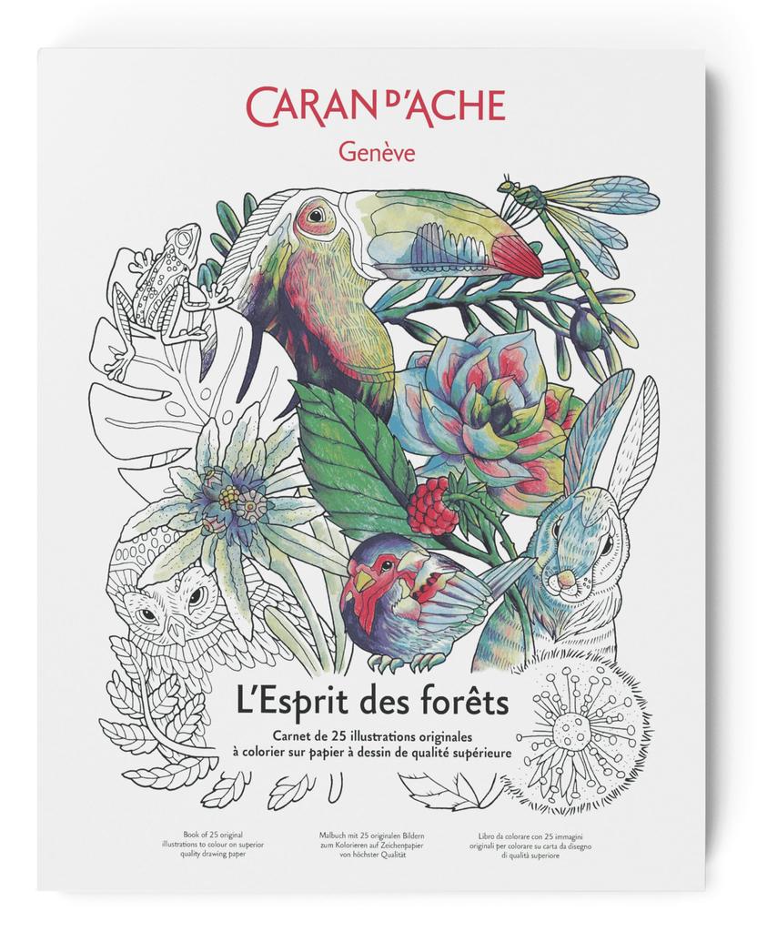 Karan Dash Coloriage Forest Coloring Book 0454-802