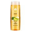 Fenghua Ginger & Hops Oil Control Volumizing Shampoo